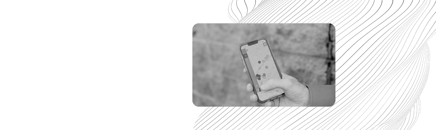 Bannière Baseline (19)